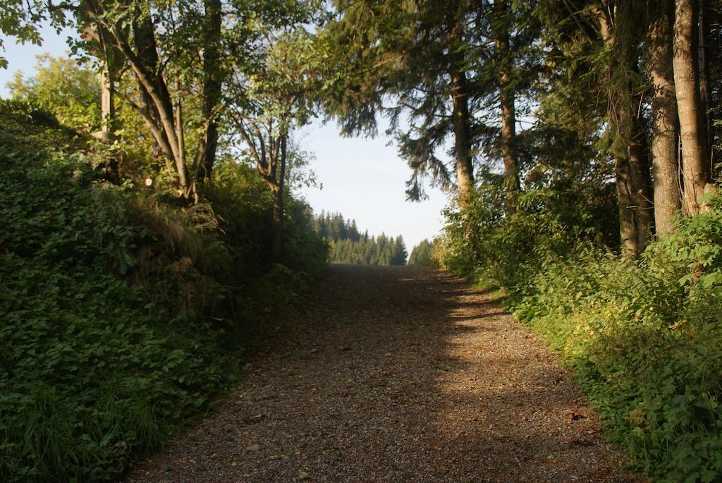 Gasthof Unterberger Sankt Kathrein am Offenegg Luaran gambar